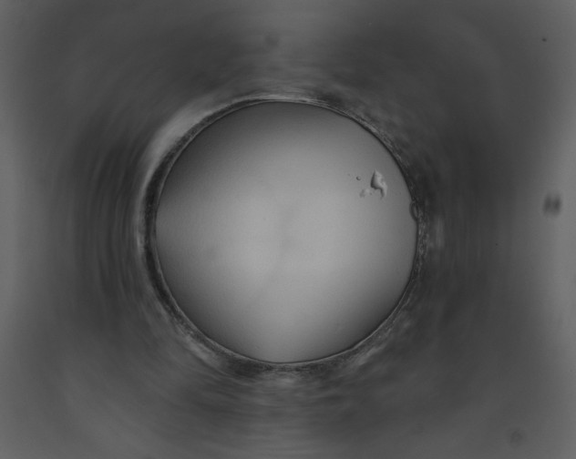 X0000093250294200710171432