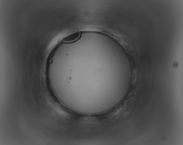 X0000093250296200710171432