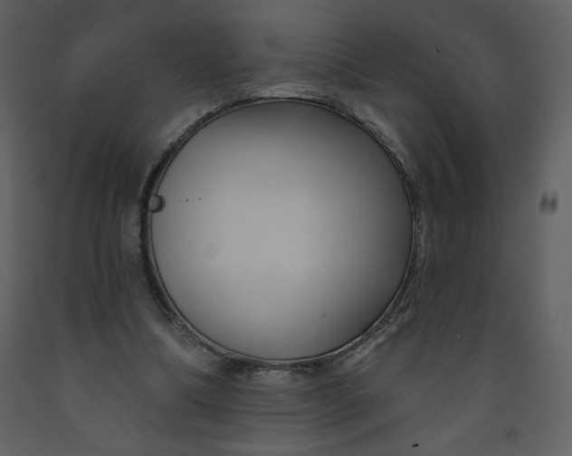 X0000093250298200710171432