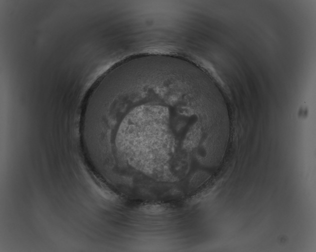 X0000093250299200710171432