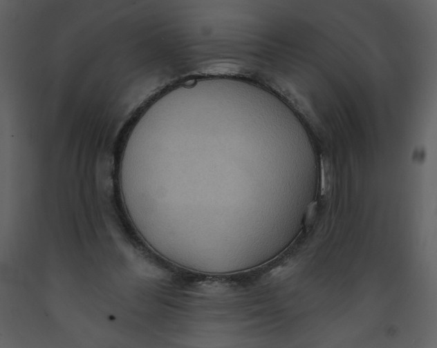 X0000093250300200710171432