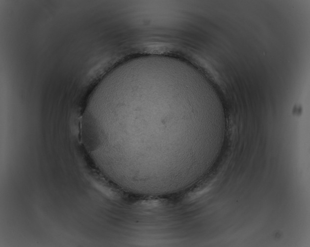 X0000093250307200710171432