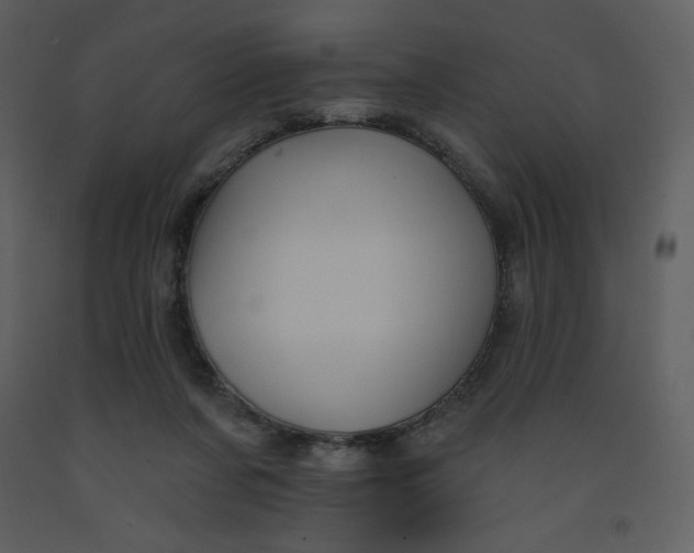 X0000093250311200710171432