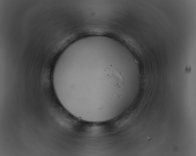 X0000093250312200710171432