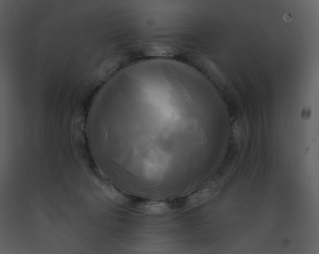 X0000093250322200710171432