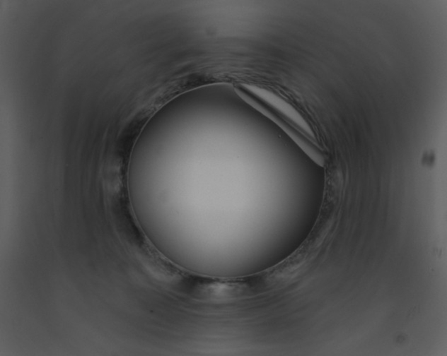 X0000093250323200710171432