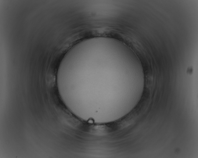 X0000093250324200710171432