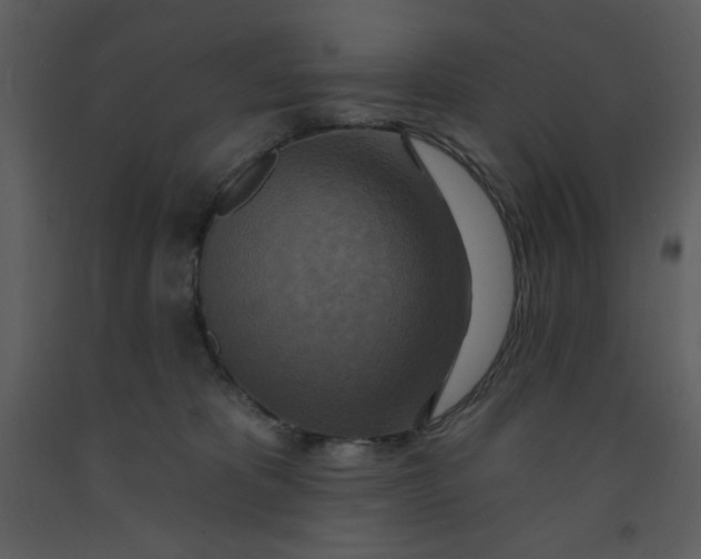 X0000093250325200710171432