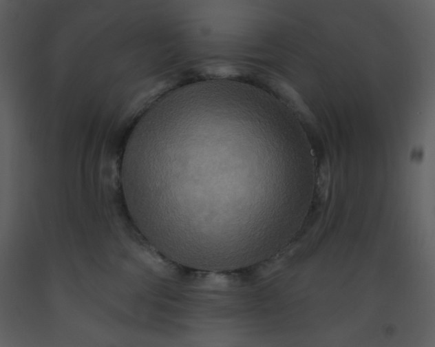 X0000093250330200710171431