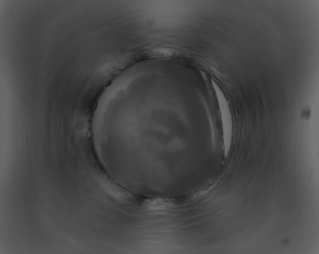 X0000093250331200710171431