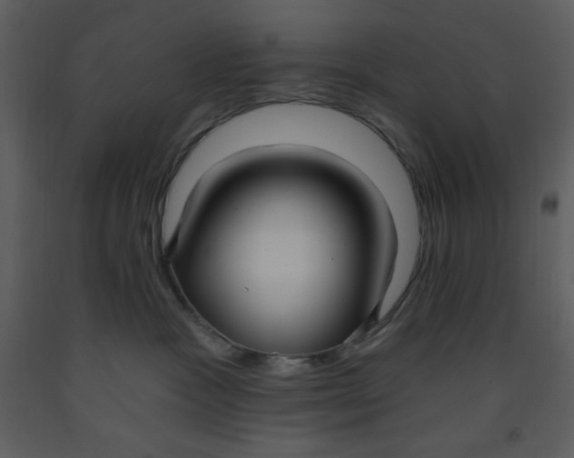 X0000093250333200710171431