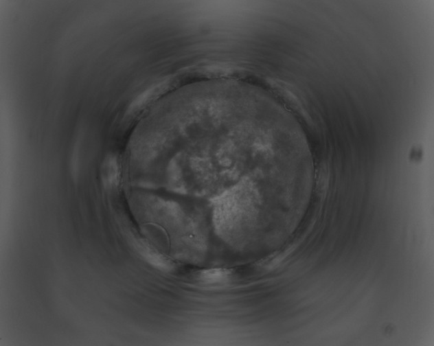 X0000093250335200710171431