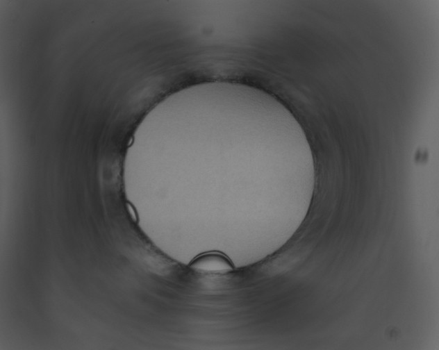 X0000093250336200710171431