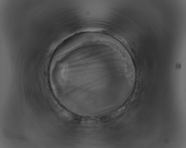 X0000093250337200710171431