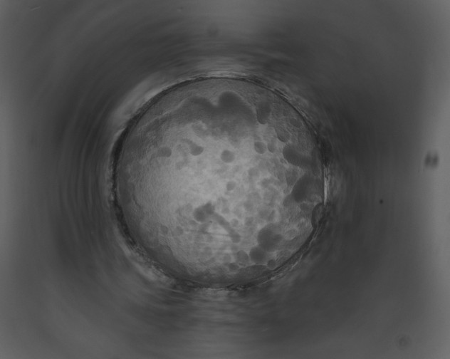 X0000093250339200710171431