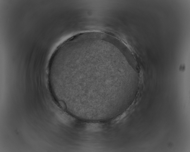 X0000093250342200710171431