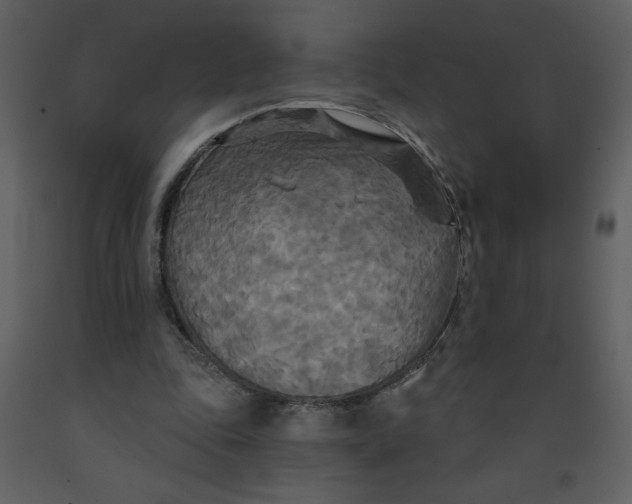 X0000093250343200710171431