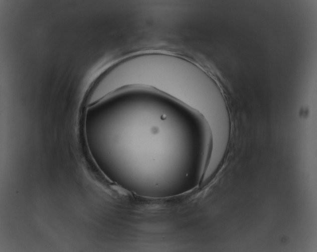 X0000093250344200710171431