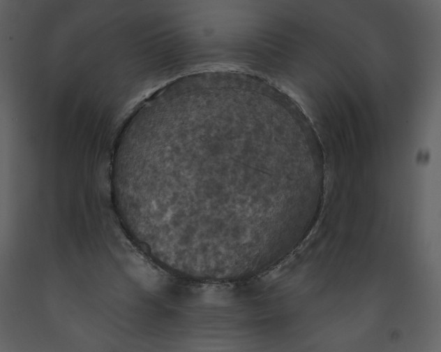 X0000093250345200710171431