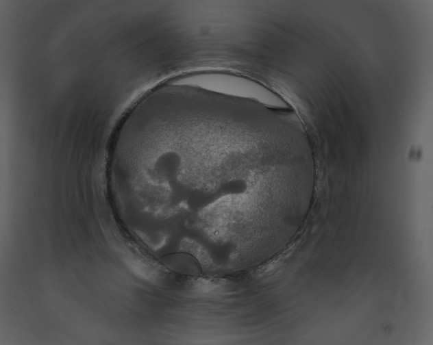 X0000093250346200710171431