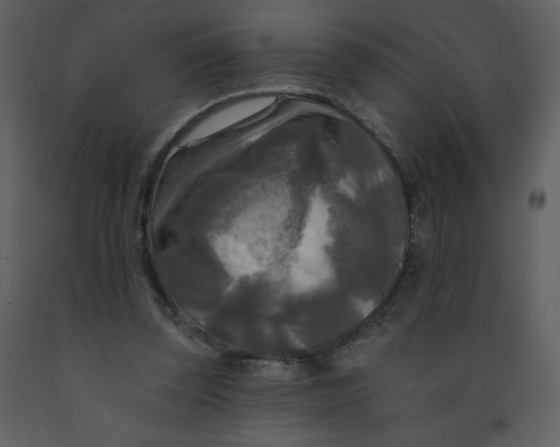 X0000093250347200710171431