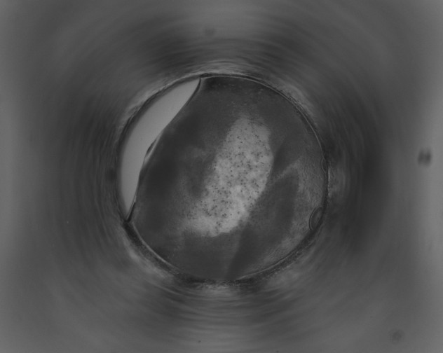 X0000093250349200710171431