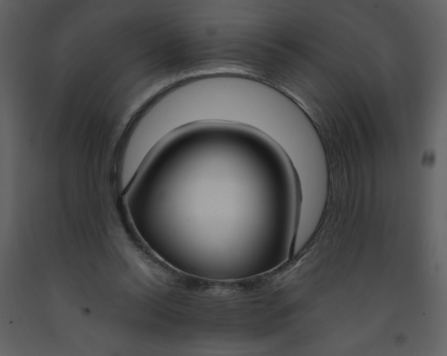 X0000093250350200710171431