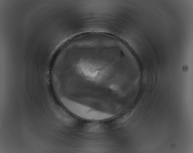 X0000093250351200710171431