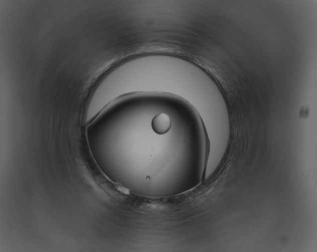 X0000093250352200710171431