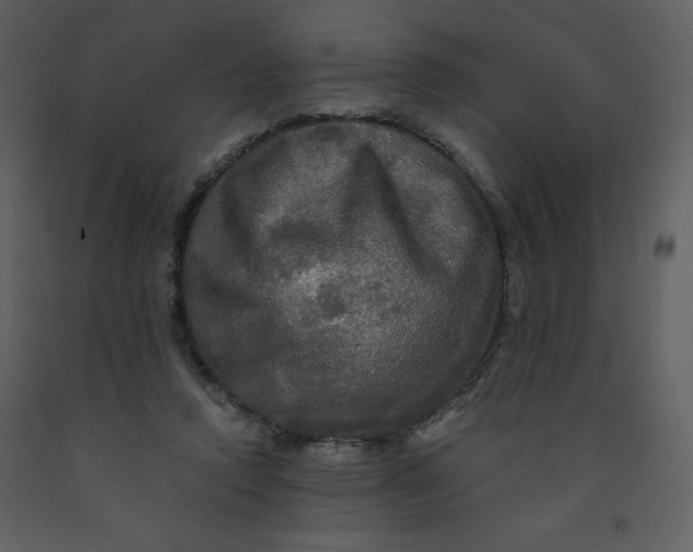 X0000093250354200710171431