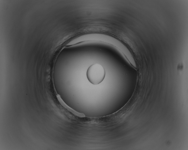 X0000093250356200710171431