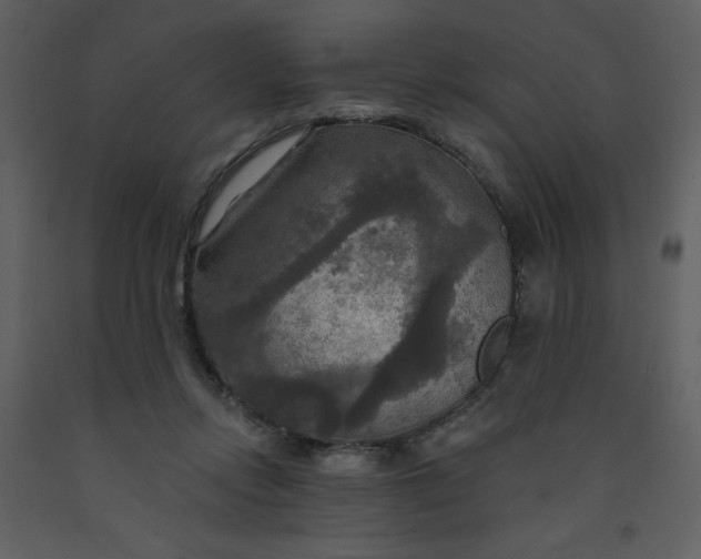 X0000093250358200710171431