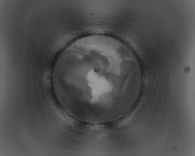 X0000093250359200710171431