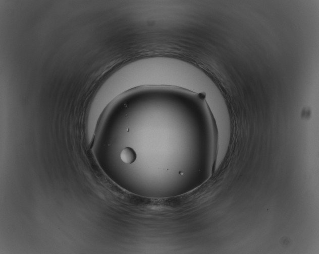 X0000093250360200710171431