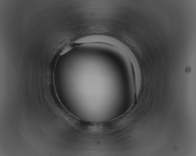 X0000093250362200710171431