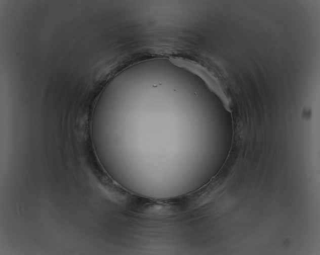 X0000093250364200710171431