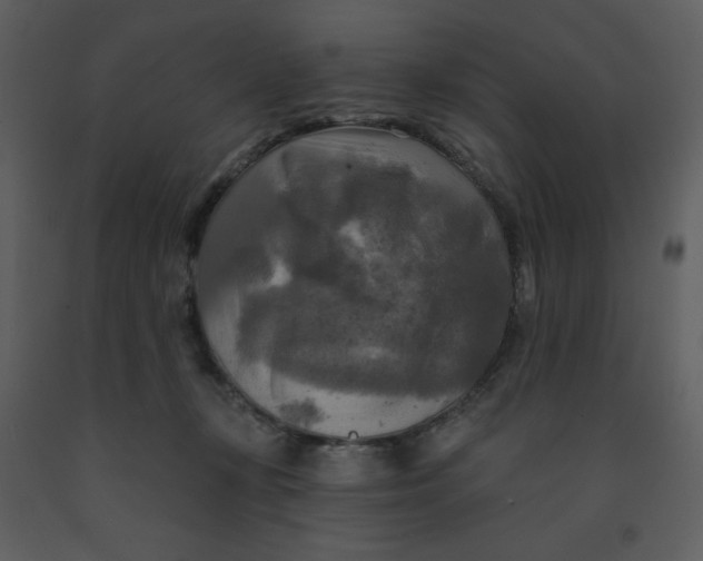 X0000093250367200710171431