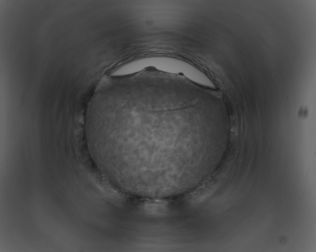 X0000093250369200710171431