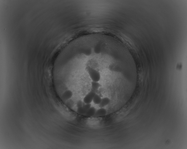 X0000093250373200710171431