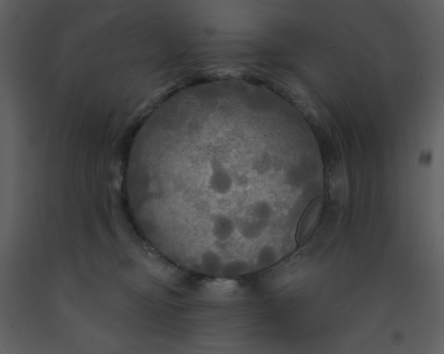 X0000093250374200710171431