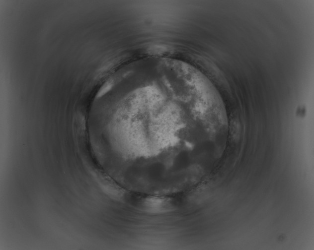 X0000093250375200710171431