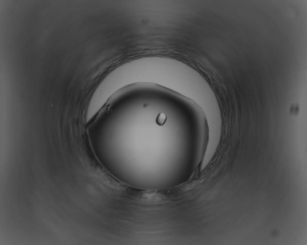 X0000093250376200710171431