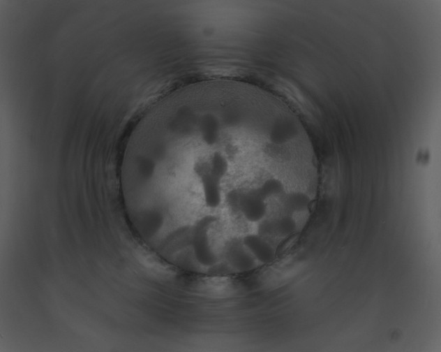 X0000093250377200710171431