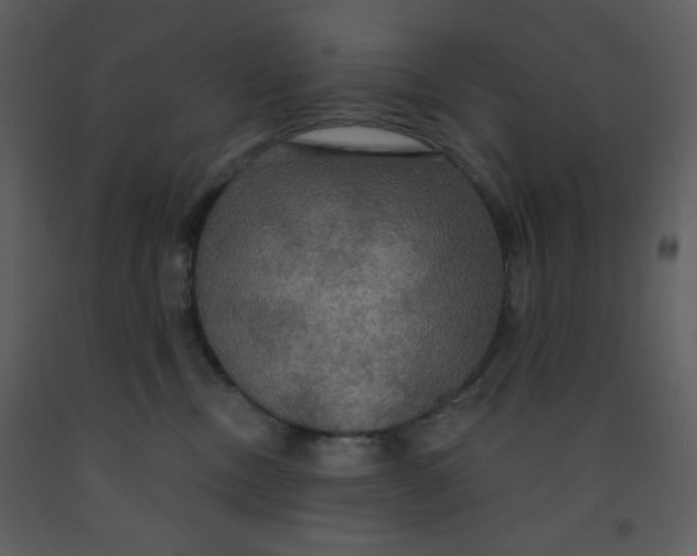 X0000093250378200710171431