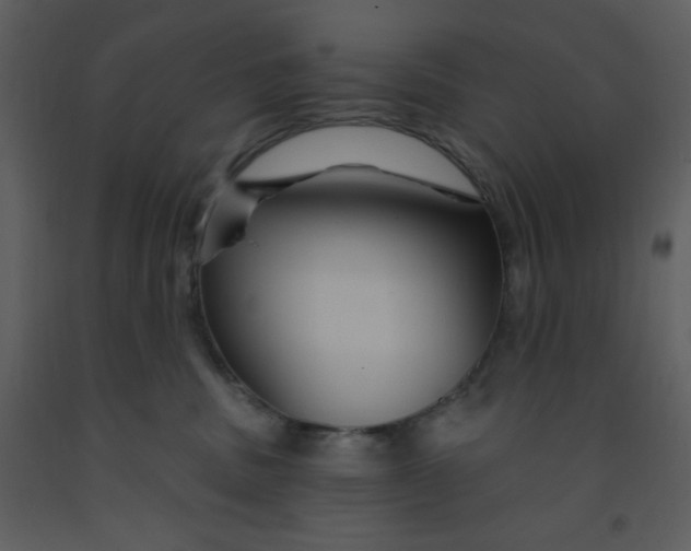 X0000093250379200710171431