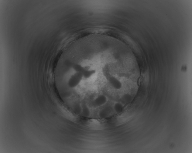 X0000093250381200710171431