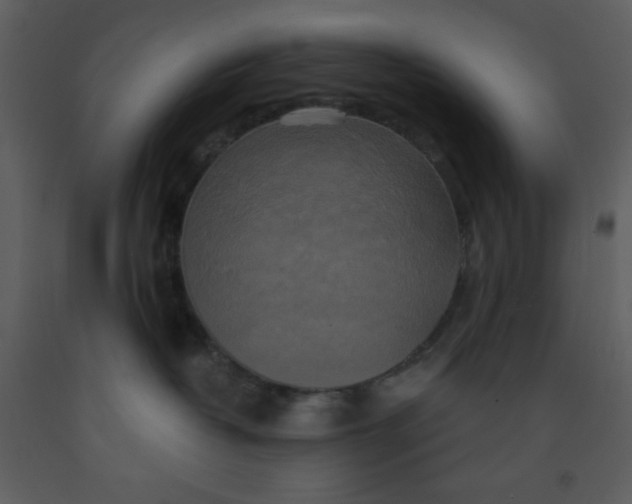 X0000093250382200710171431