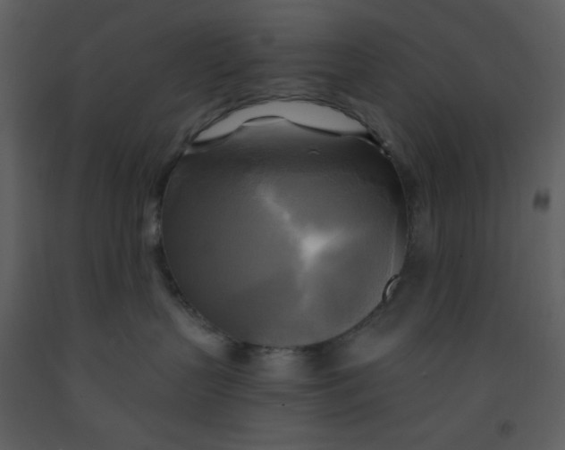 X0000093250383200710171431