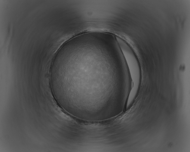 X0000093250385200710171431