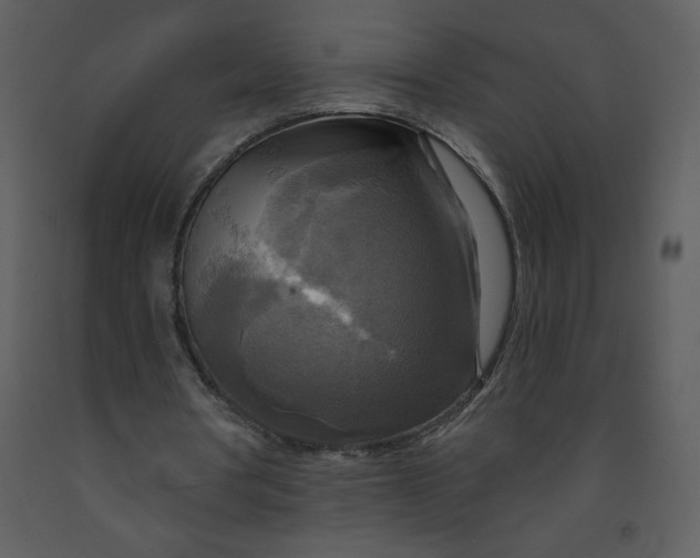 X0000093250386200710171431